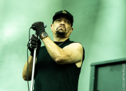 Ice-T (Ges.) - Body Count